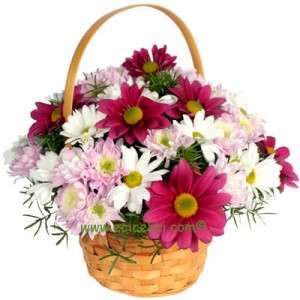 adana online çiçek